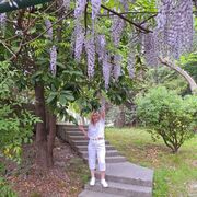  ,   , 50 ,   ,   , c , 