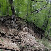 ���������� �����-���������, ���� ������� ������, 37 ���, ������������ ��� ������, ����� � ���������