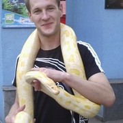 ���������� ��������, ���� ������� �������, 39 ���, ������������ ��� ������, ����� � ���������, c�������� ���������