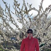 ���������� ����������, ���� ������� Roma, 40 ���, ������������ ��� ������, ����� � ���������