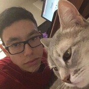 ���������� ���������, ���� ����� ����, 20 ���, ������������ ��� ������, ����� � ���������