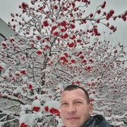  ,   , 44 ,   