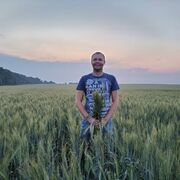 ���������� ������, ���� ������� ���������, 31 ���, ������������ ��� ������, ����� � ���������, c�������� ���������