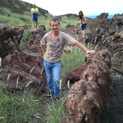 ���������� �������, ���� ������� ������, 53 ����, ������������ ��� ������, ����� � ���������, c�������� ���������