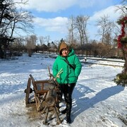 ���������� �����������, ���� ������� ����, 46 ���, ������������ ��� ������, ����� � ���������, c�������� ���������, ���������