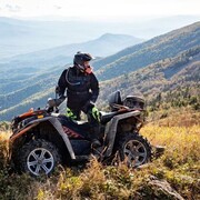 ���������� ������, ���� ������� ���������, 38 ���, ������������ ��� ����� � ���������, c�������� ���������