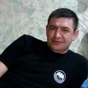   ,   , 49 ,  