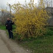  ,   , 39 ,     , c 