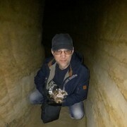 ���������� ��������, ���� ������� �������, 50 ���, ������������ ��� ����� � ���������, c�������� ���������