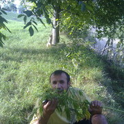 ���������� �������, ���� ������� �����, 41 ���, ������������ ��� ������