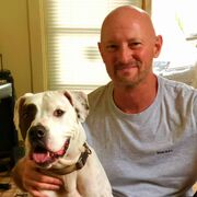 ���������� ����-���������, ���� ������� �������, 40 ���, ������������ ��� ������, ����� � ���������