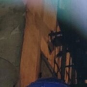  ,   , 31 ,   