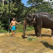  ,   , 18 ,   ,   , c , 