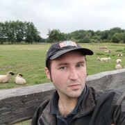  ,   , 33 ,   