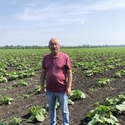 ���������� ����, ���� ������� �������, 64 ����, ������������ ��� ������, ����� � ���������