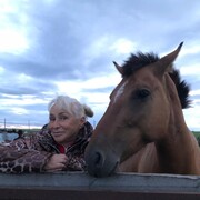  Limassol,   , 62 ,   c , 