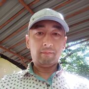  ,  , 43