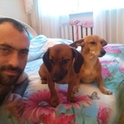  ,   , 41 ,   