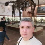 ���������� ��������, ���� ������� �������, 46 ���, ������������ ��� ����� � ���������, c�������� ���������