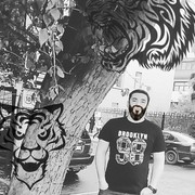 ���������� ������, ���� ������� �����, 28 ���, ������������ ��� ����� � ���������, c�������� ���������