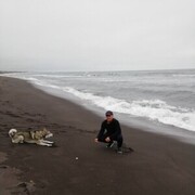 ���������� �������, ���� ������� Sss, 35 ���, ������������ ��� ������, ����� � ���������, c�������� ���������