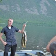  ,   , 43 ,  