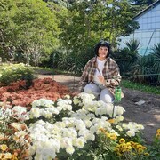 ���������� �����������, ���� ������� ������, 59 ���, ������������ ��� c�������� ���������