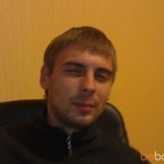  ,   Alligator, 40 ,  