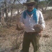 Botswana