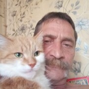  --,   , 52 ,   ,   