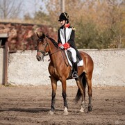 ���������� �������, ���� ������� �������, 33 ����, ������������ ��� ������, ����� � ���������, c�������� ���������