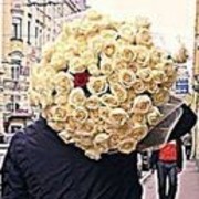 ���������� ������������, ���� ������� ���������, 33 ����, ������������ ��� ����� � ���������, c�������� ���������