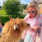 ���������� ������, ���� ������� �����, 39 ���, ������������ ��� c�������� ���������