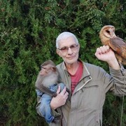 ���������� �����������, ���� ������� �������, 60 ���, ������������ ��� ������, ����� � ���������