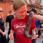 ���������� ������ ��������, ���� ������� ������, 38 ���, ������������ ��� ������, ����� � ���������