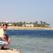 ���������� �������, ���� ������� �����, 48 ���, ������������ ��� ������, ����� � ���������, c�������� ���������