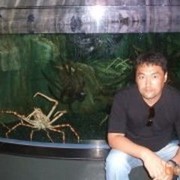  ,   , 48 ,   ,   , c 