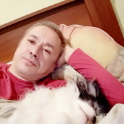  ,   , 50 ,   ,   , c 