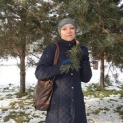  ,   , 51 ,   ,   