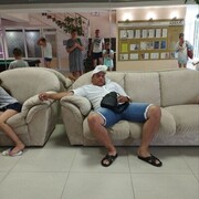   ,   , 43 ,  