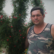 ,   , 53 ,   