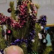 ���������� ����, ���� ������� �������, 43 ����, ������������ ��� ������, ����� � ���������