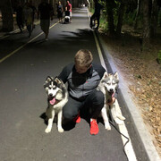 ���������� ������, ���� ������� ����, 30 ���, ������������ ��� ������, ����� � ���������, c�������� ���������