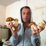 ���������� ������, ���� ������� �����, 52 ����, ������������ 