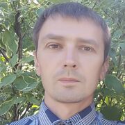  ,   , 41 ,  