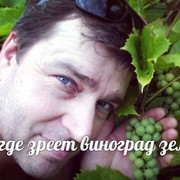  ,  , 59