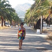 ���������� ������-��-����, ���� ������� �������, 63 ����, ������������ ��� c�������� ���������, ���������