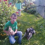 ���������� ��������, ���� ������� Michael, 40 ���, ������������ ��� ������, ����� � ���������