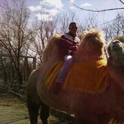 ���������� �������, ���� ������� ϸ��, 33 ����, ������������ ��� ����� � ���������, c�������� ���������