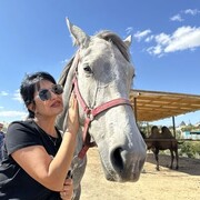 ���������� ������, ���� ������� �������, 45 ���, ������������ ��� ������, ����� � ���������